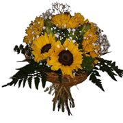 /fileuploads/Produtos/Bouquets e Ramos/thumb_florista_jusart_flores_plantas_rosas_jardim_Bouquets e ramos 8 1 (25).png